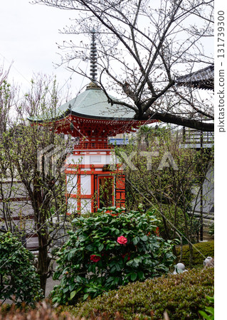 赤塚山淨蓮寺福壽觀音 赤塚山淨蓮寺福壽觀音 131739300