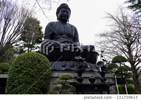 Tokyo Great Buddha (Jorenji Temple) 131739613