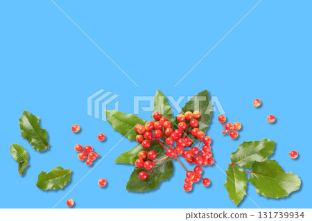 Fresh red berries and green leaves create a festive mood Fresh red berries and green leaves create a festive mood 131739934