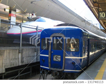 March 12, 2009 Blue Train Sleeper Express Hayabusa and Tohoku Shinkansen E2 Series Tokyo Station 131740113
