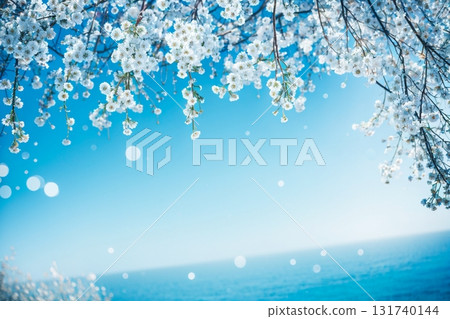 Winter white weeping cherry blossoms and blue sky with light blur background Fantastic winter scenery frame material Winter white weeping cherry blossoms and blue sky with light blur background Fantastic winter scenery frame material 131740144