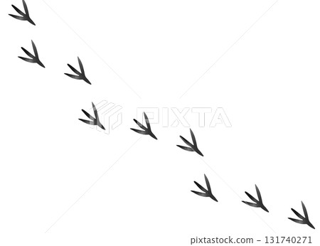 Bird footprints watercolor illustration 131740271