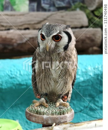 A majestic owl gracefully sitting on a surface in natures beauty 131740498