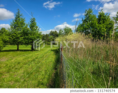 Sunlit Splendor Scenic Nature Landscape Sunlit Splendor Scenic Nature Landscape 131740574