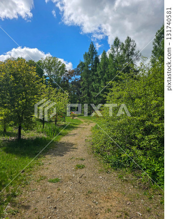 Sunlit Splendor Scenic Nature Landscape 131740581