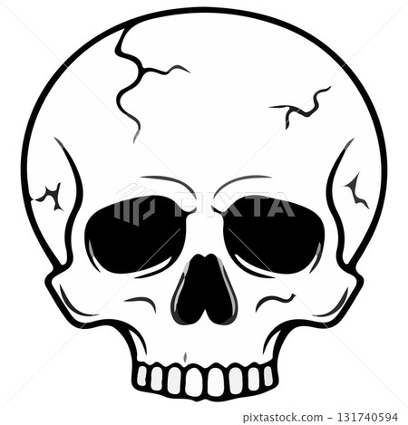 vector of skull vector of skull 131740594