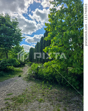 Sunlit Splendor Scenic Nature Landscape Sunlit Splendor Scenic Nature Landscape 131740603