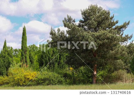 Sunlit Splendor Scenic Nature Landscape Sunlit Splendor Scenic Nature Landscape 131740616