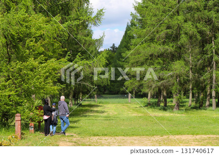 Sunlit Splendor Scenic Nature Landscape Sunlit Splendor Scenic Nature Landscape 131740617