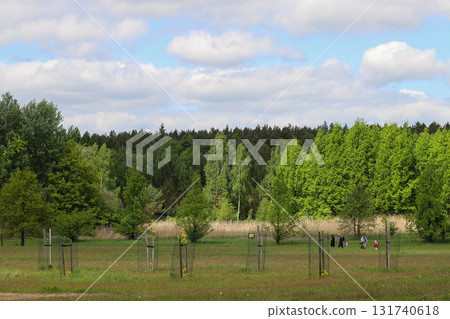 Sunlit Splendor Scenic Nature Landscape Sunlit Splendor Scenic Nature Landscape 131740618