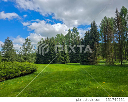 Sunlit Landscape Nature s Harmony Sunlit Landscape Nature s Harmony 131740631