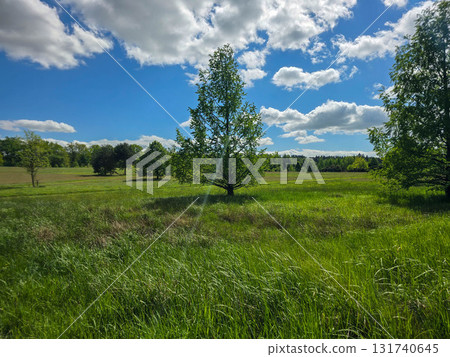 Sunlit Landscape Nature s Harmony 131740645