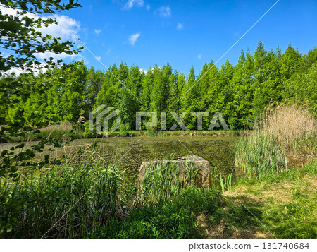 Oasis of Harmony Botanical Garden Lakes 131740684