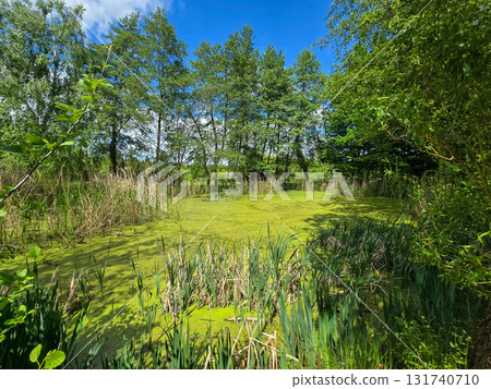 Scenic Park Landscape Harmony of Nature and Landscape Design 131740710