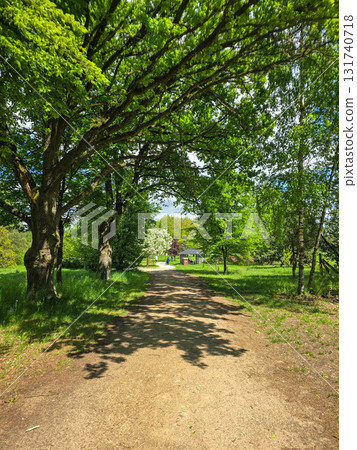 Majestic Tree with Lush Canopy Symbol of Nature's Power and Harmony Majestic Tree with Lush Canopy Symbol of Nature's Power and Harmony 131740718