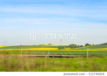 Scenic Agricultural Fields in Spring Light Scenic Agricultural Fields in Spring Light 131740826