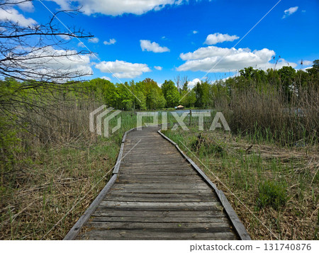 Sunlit Lake with Water Lilies Peaceful Nature Harmony 131740876