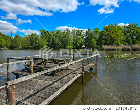 Sunlit Lake with Water Lilies Peaceful Nature Harmony 131740878