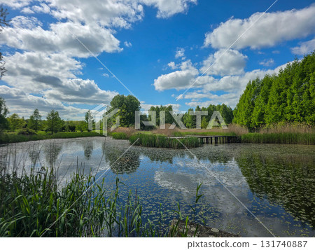 Sunlit Lake with Water Lilies Peaceful Nature Harmony Sunlit Lake with Water Lilies Peaceful Nature Harmony 131740887