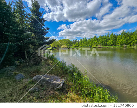 Serene Lake Landscape on a Sunny Day Nature s Tranquility 131740900