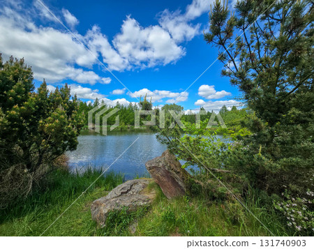 Serene Lake Landscape on a Sunny Day Nature s Tranquility Serene Lake Landscape on a Sunny Day Nature s Tranquility 131740903