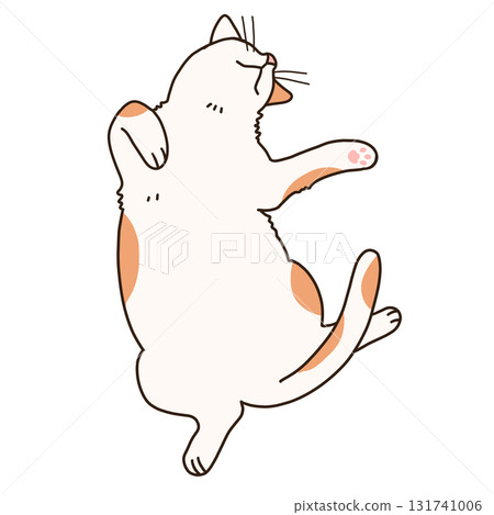 一隻貓仰睡的插圖 131741006