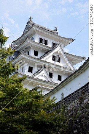 Gujo Hachiman Castle castle tower 131741486