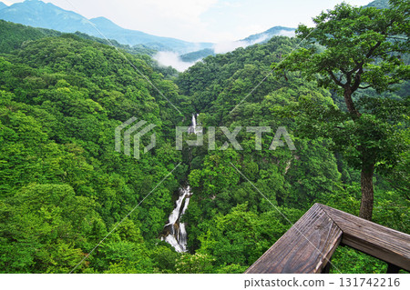Tochigi Prefecture, Nikko Three Waterfalls, Kirifuri Falls (Summer, July) 131742216