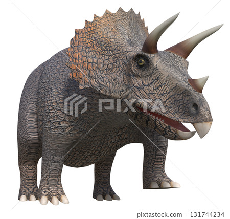 Triceratops Triceratops 131744234