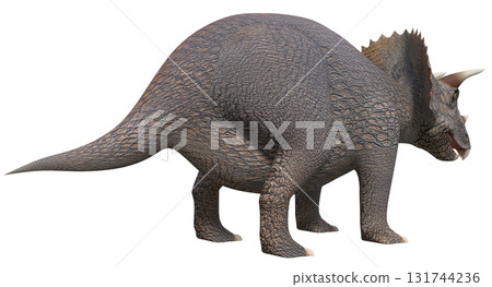 三角龍 三角龍 131744236