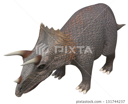 Triceratops Triceratops 131744237
