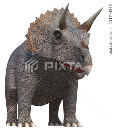 Triceratops Triceratops 131744239