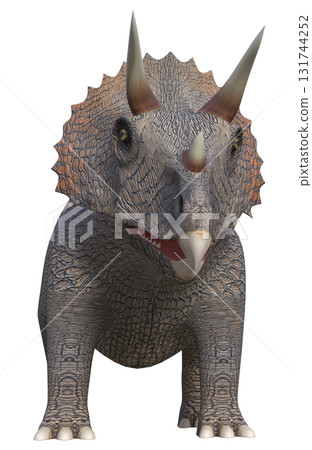 三角龍 三角龍 131744252