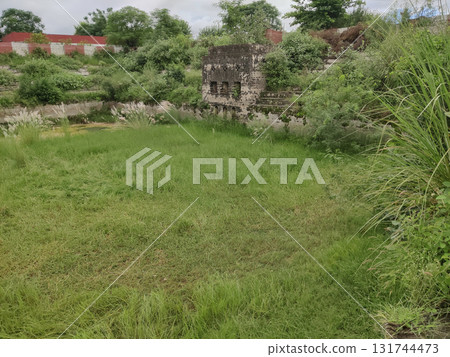 Aerial View of Queen Mango Heritage Pond in Doongi Sar Sohawa Pakistan 131744473