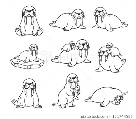 Vector set of cute, simple line-art walrus characters in various poses sitting, sleeping, and with a pup or fish. Vector set of cute, simple line-art walrus characters in various poses sitting, sleeping, and with a pup or fish. 131744595