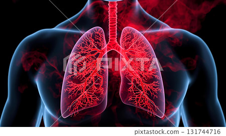 Image of lungs polluted with red smoke Image of lungs polluted with red smoke 131744716