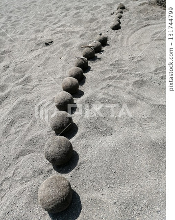 沙餃子 沙餃子 131744799