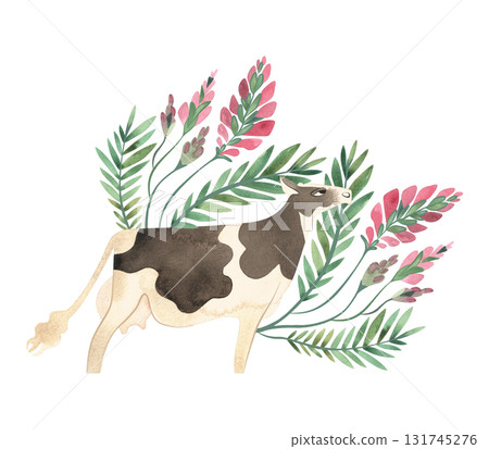 Holstein Friesian Cow is dairy cattle. Cow in a composition of meadow grasses and flowers. Isolated watercolor illustration in retro style for packaging, children's book and encyclopedia. Clipart. 131745276