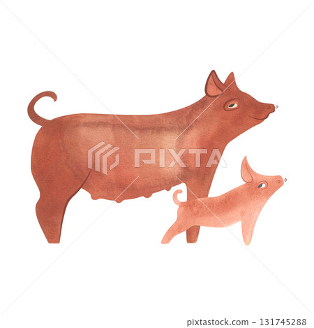 Yorkshire pig with piglet. Farm animals, livestock. Characters for an article about village life. Isolated watercolor illustration for a children's encyclopedia. 131745288