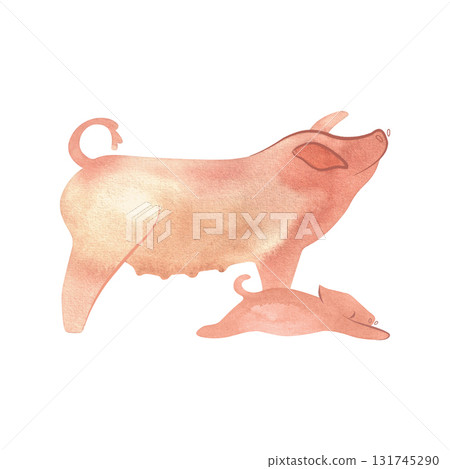Chester White Pig Swin or Landrace with piglet. Farm animals, livestock. Characters for an article about village life. Isolated watercolor illustration for a children's encyclopedia. Chester White Pig Swin or Landrace with piglet. Farm animals, livestock. Characters for an article about village life. Isolated watercolor illustration for a children's encyclopedia. 131745290