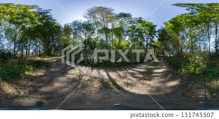 360 panorama of a forest path along a dilapidated wooden fence. HDRI seamless spherical 360-degree panorama of forest path 360 panorama of a forest path along a dilapidated wooden fence. HDRI seamless spherical 360-degree panorama of forest path 131745307