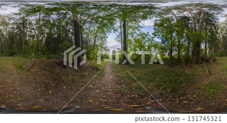 HDRI seamless spherical 360-degree panorama of logging area. 360 degree panorama between fallen pine trunks in a logging area HDRI seamless spherical 360-degree panorama of logging area. 360 degree panorama between fallen pine trunks in a logging area 131745321