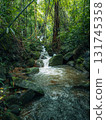 Small streams and waterfalls in a lush forest. Nature and environmental images. 131745358