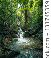 Small streams and waterfalls in a lush forest. Nature and environmental images. 131745359