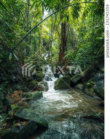 Small streams and waterfalls in a lush forest. Nature and environmental images. Small streams and waterfalls in a lush forest. Nature and environmental images. 131745359