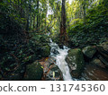 Small streams and waterfalls in a lush forest. Nature and environmental images. 131745360