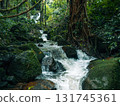 Small streams and waterfalls in a lush forest. Nature and environmental images. 131745361