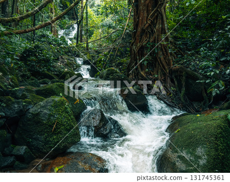 Small streams and waterfalls in a lush forest. Nature and environmental images. Small streams and waterfalls in a lush forest. Nature and environmental images. 131745361