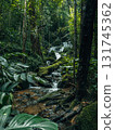 Small streams and waterfalls in a lush forest. Nature and environmental images. 131745362