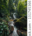 Small streams and waterfalls in a lush forest. Nature and environmental images. 131745366